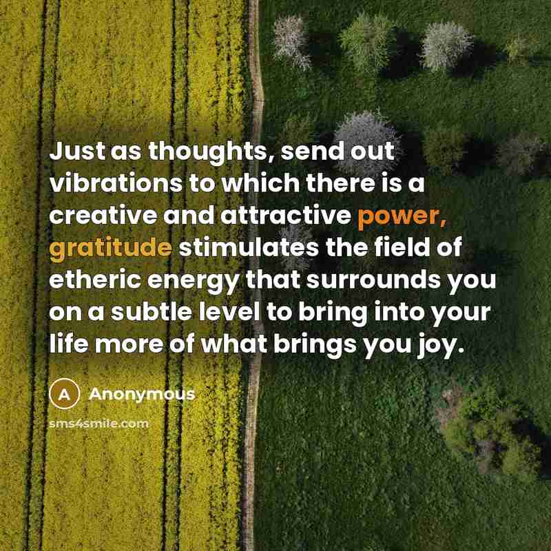 “Just as thoughts, send out vibrations to which there is a creative and attractive power, gratitude stimulates the field of etheric energy that surrounds you on a subtle level to bring into your life more of what brings you joy.” quote by Anonymous