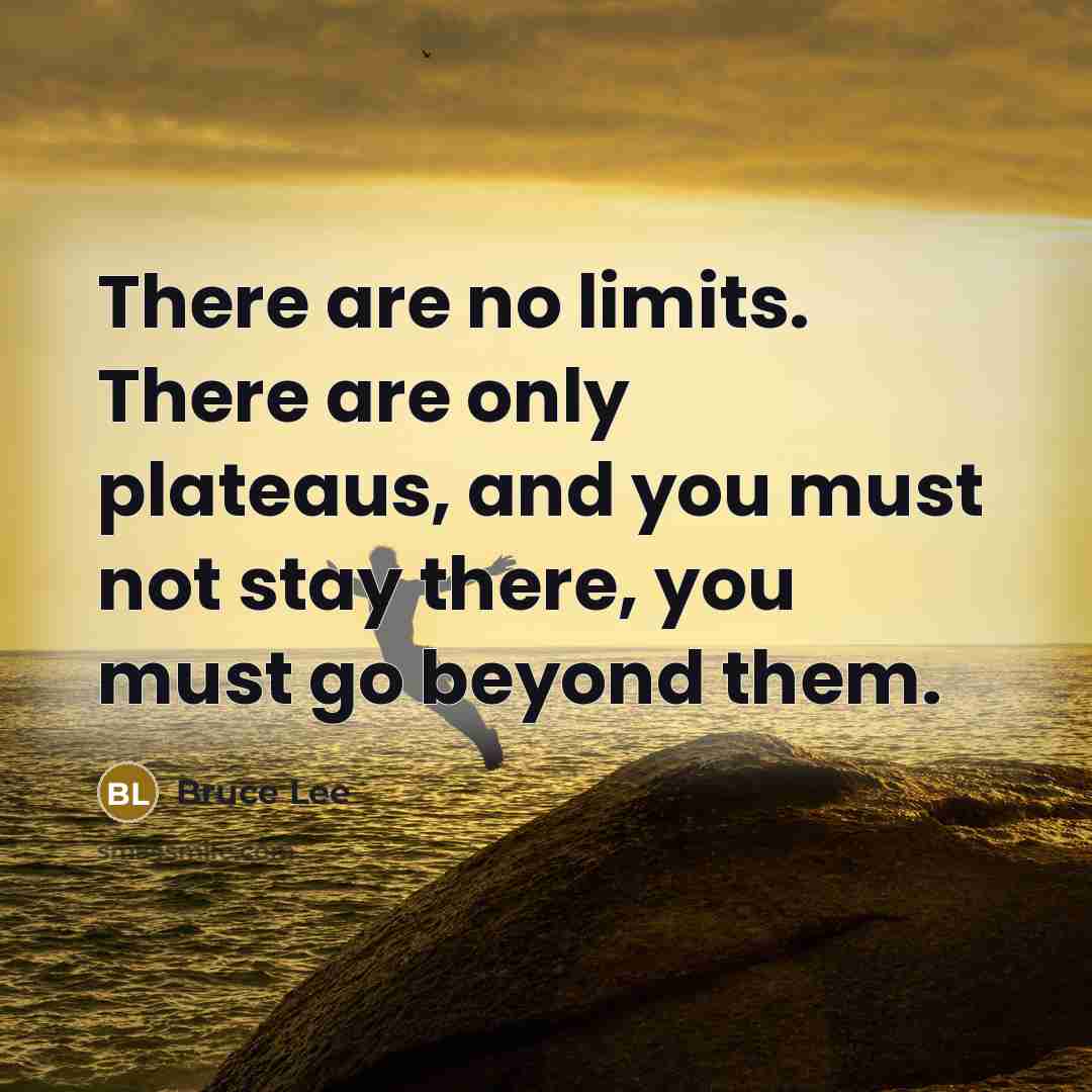 “There are no limits. There are only plateaus, and you must not stay there, you must go beyond them.” quote by Bruce Lee