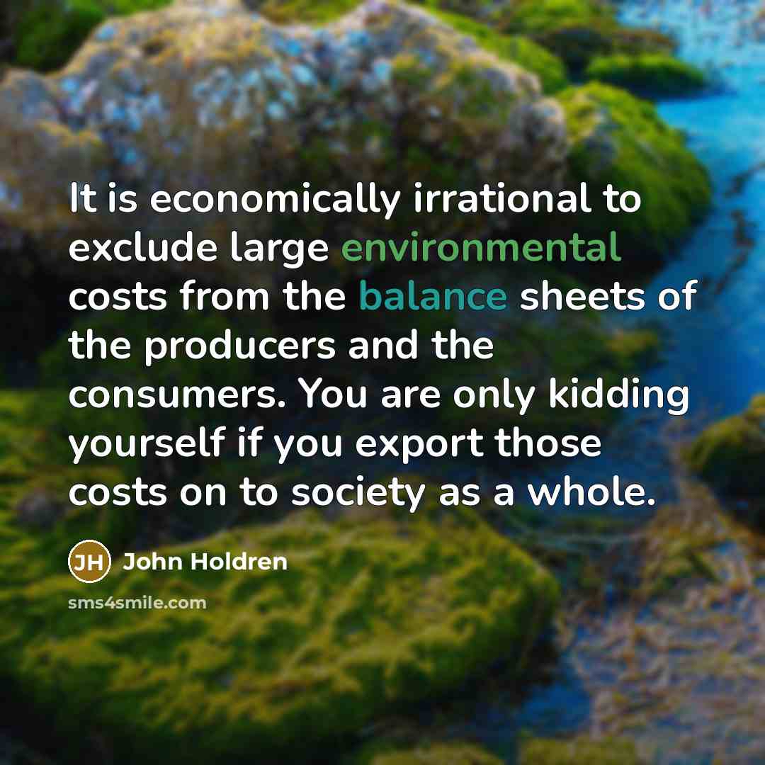 “It is economically irrational to exclude large environmental costs from the balance sheets of the producers and the consumers. You are only kidding yourself if you export those costs on to society as a whole.” quote by John Holdren