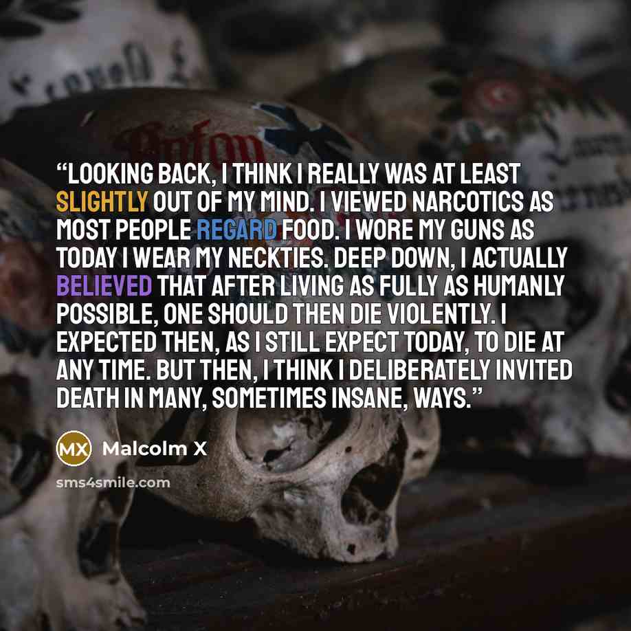 “Looking back, I think I really was at least slightly out of my mind. I viewed narcotics as most people regard food. I wore my guns as today I wear my neckties. Deep down, I actually believed that after living as fully as humanly possible, one should then die violently. I expected then, as I still…” quote by Malcolm X