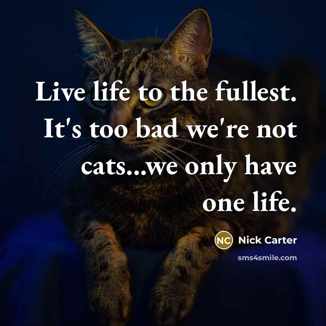 “Live life to the fullest. It's too bad we're not cats...we only have one life.” quote by Nick Carter