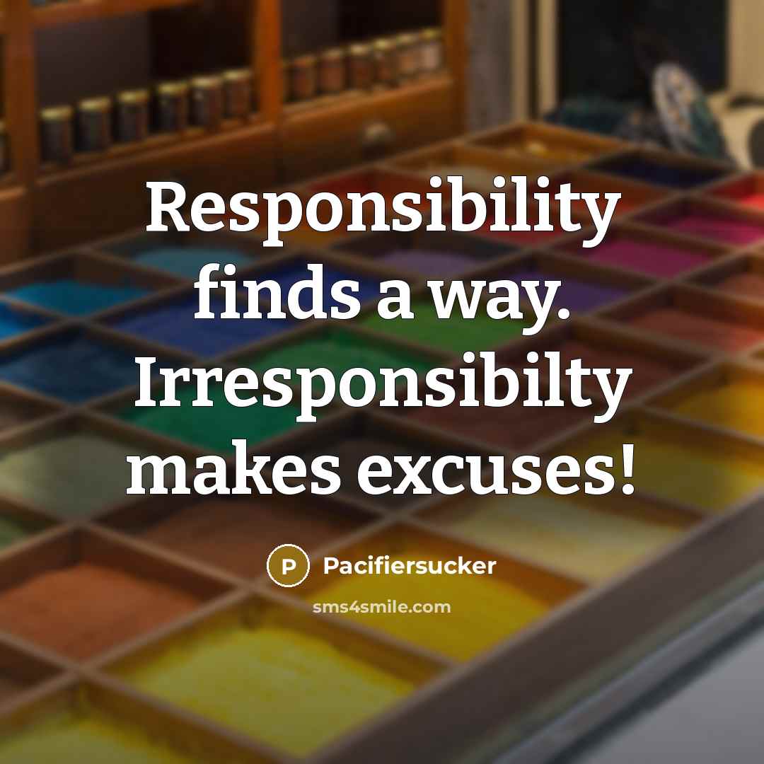 “Responsibility finds a way. Irresponsibilty makes excuses!” quote by Pacifiersucker