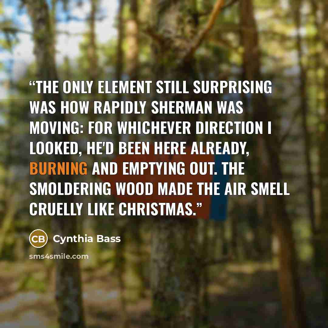 “The only element still surprising was how rapidly Sherman was moving: for whichever direction I looked, he'd been here already, burning and emptying out. The smoldering wood made the air smell cruelly like Christmas.” quote by Cynthia Bass