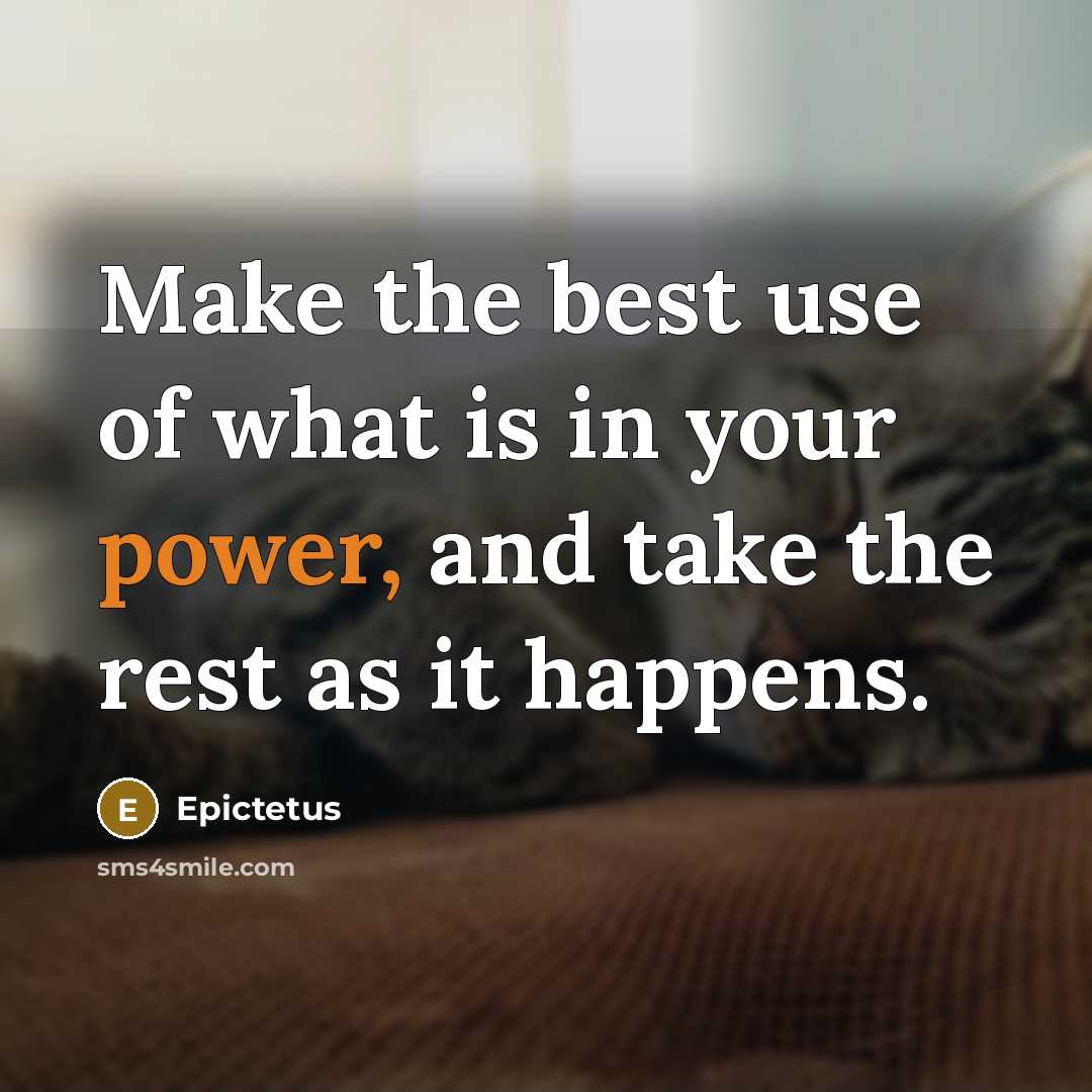 “Make the best use of what is in your power, and take the rest as it happens.” quote by Epictetus
