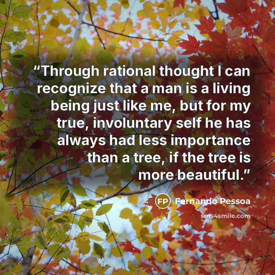 “Through rational thought I can recognize that a man is a living being just like me, but for my true, involuntary self he has always had less importance than a tree, if the tree is more beautiful.” quote by Fernando Pessoa