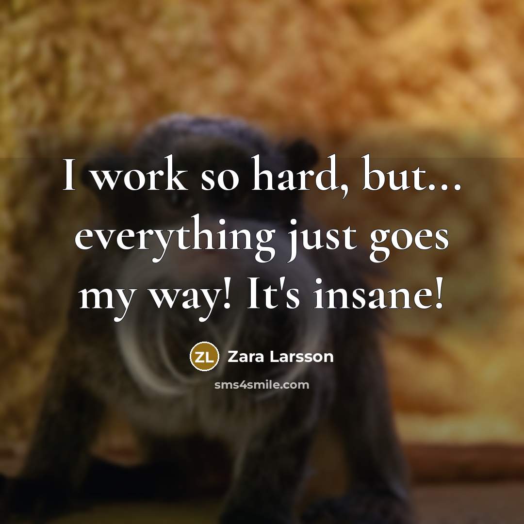 “I work so hard, but... everything just goes my way! It's insane!” quote by Zara Larsson