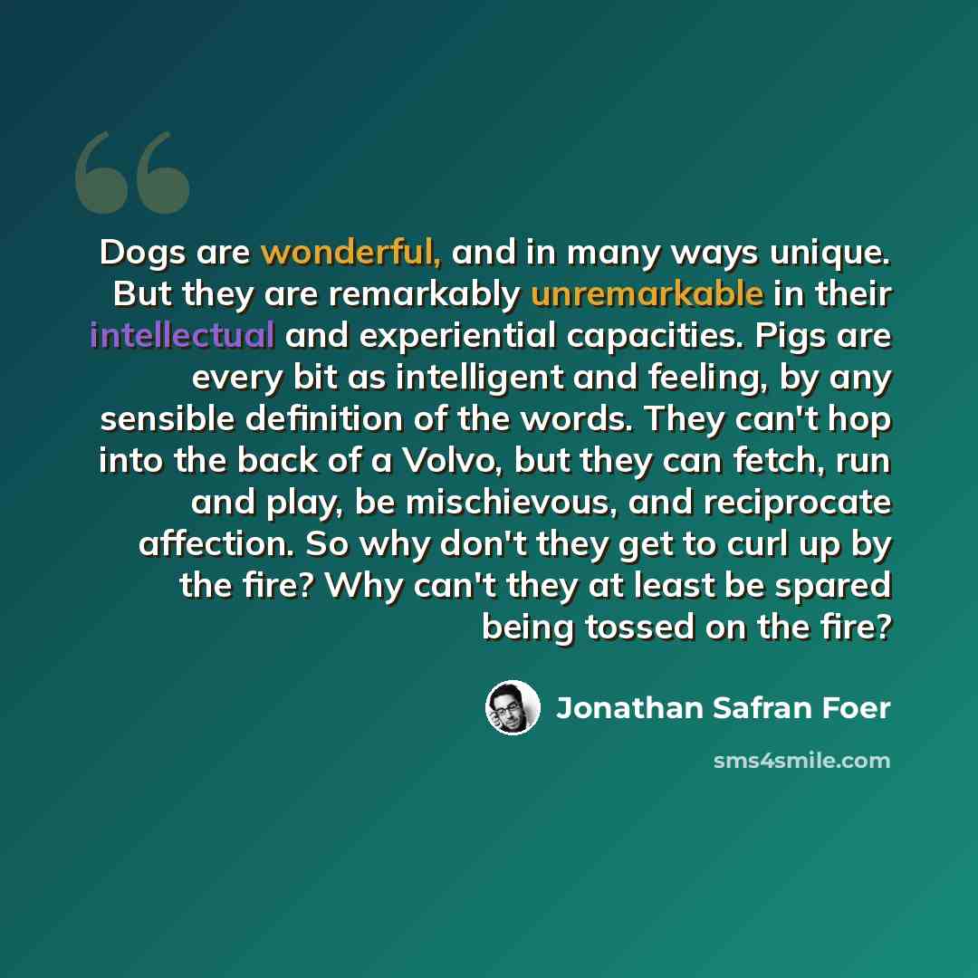 “Dogs are wonderful, and in many ways unique. But they are remarkably unremarkable in their intellectual and experiential capacities. Pigs are every bit as intelligent and feeling, by any sensible definition of the words. They can't hop into the back of a Volvo, but they can fetch, run and play, be…” quote by Jonathan Safran Foer
