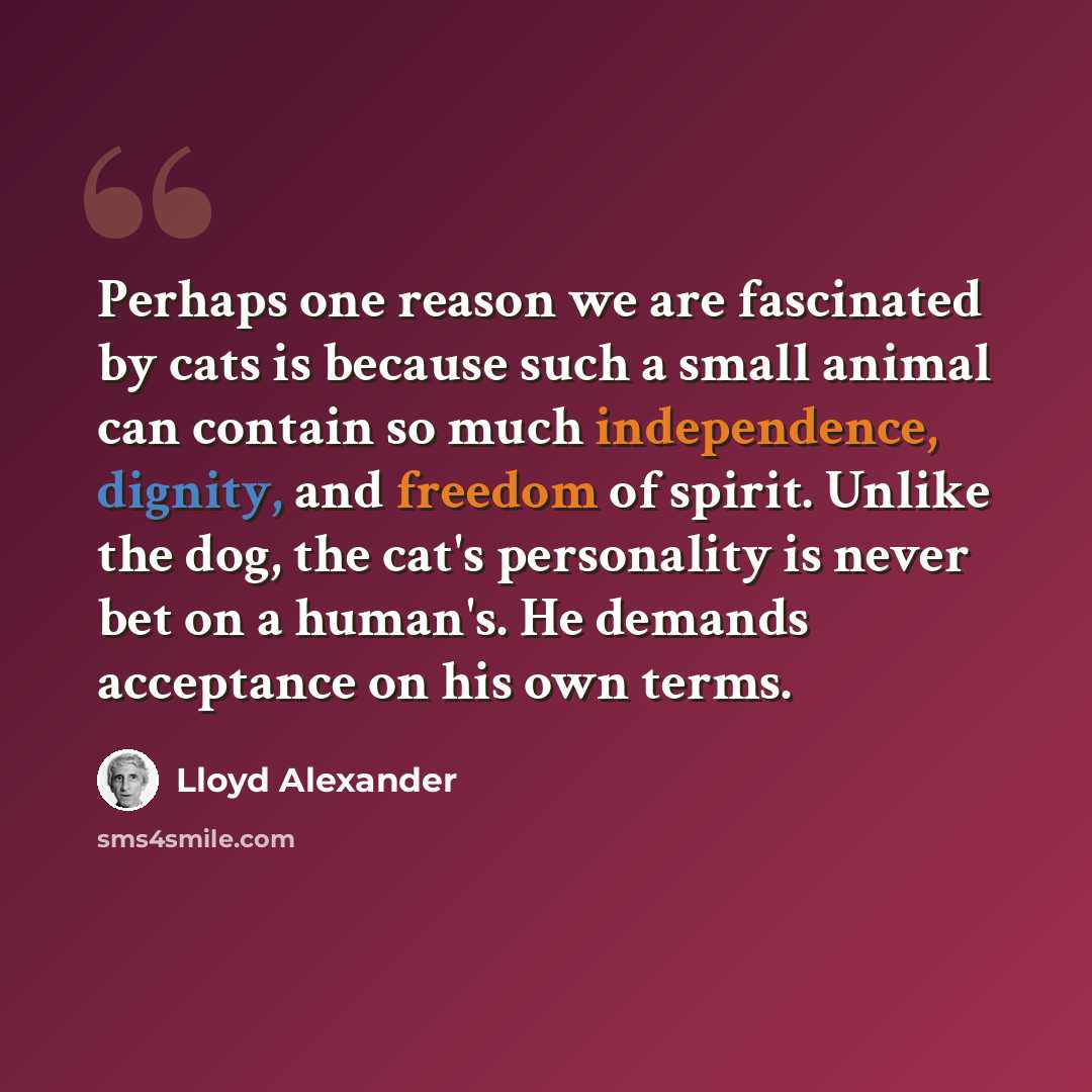 “Perhaps one reason we are fascinated by cats is because such a small animal can contain so much independence, dignity, and freedom of spirit. Unlike the dog, the cat's personality is never bet on a human's. He demands acceptance on his own terms.” quote by Lloyd Alexander