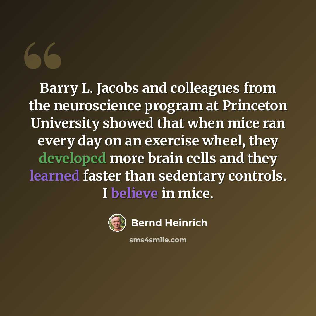 “Barry L. Jacobs and colleagues from the neuroscience program at Princeton University showed that when mice ran every day on an exercise wheel, they developed more brain cells and they learned faster than sedentary controls. I believe in mice.” quote by Bernd Heinrich