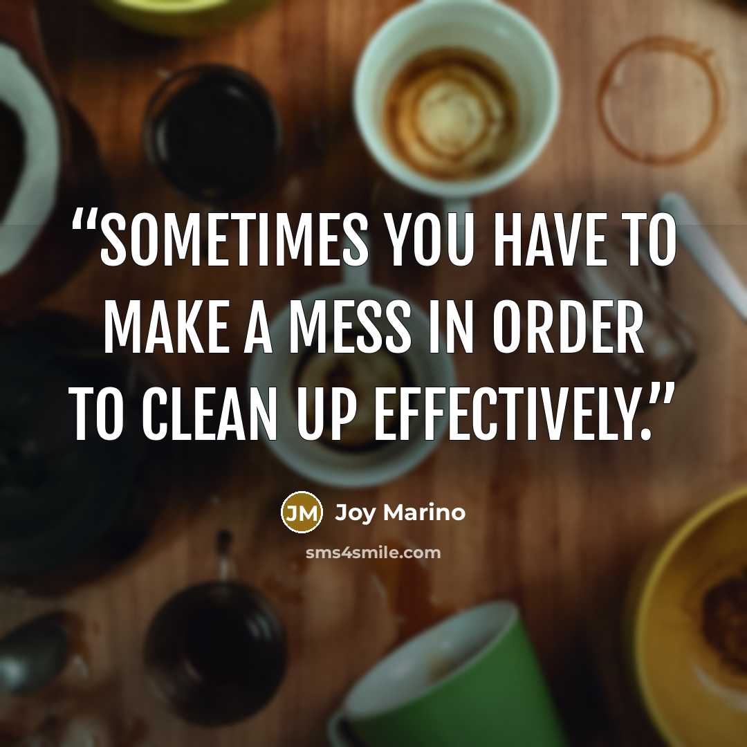 “Sometimes you have to make a mess in order to clean up effectively.” quote by Joy Marino