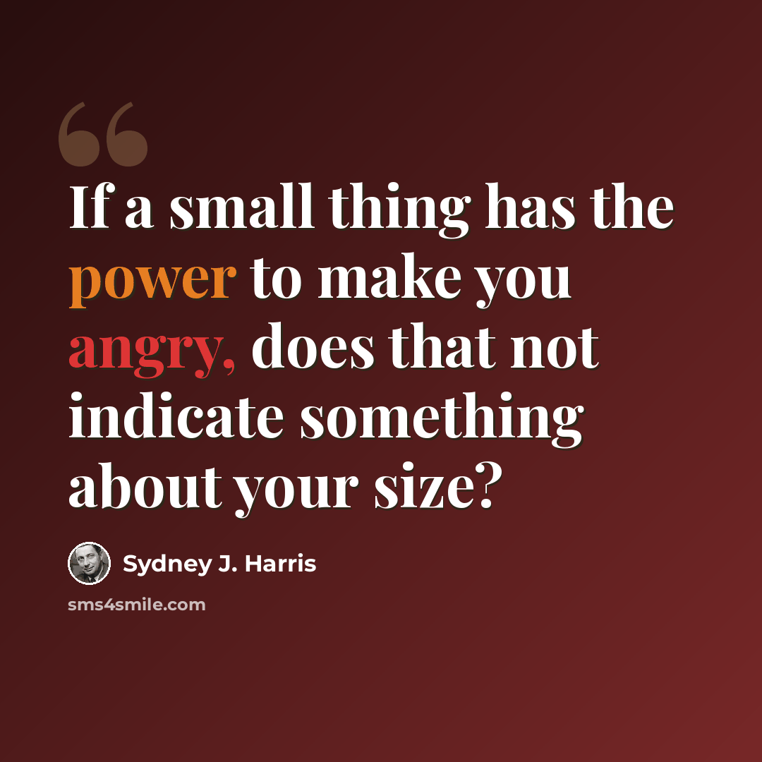 “If a small thing has the power to make you angry, does that not indicate something about your size?” quote by Sydney J. Harris