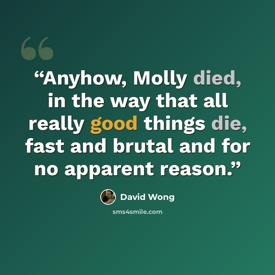 “Anyhow, Molly died, in the way that all really good things die, fast and brutal and for no apparent reason.” quote by David Wong
