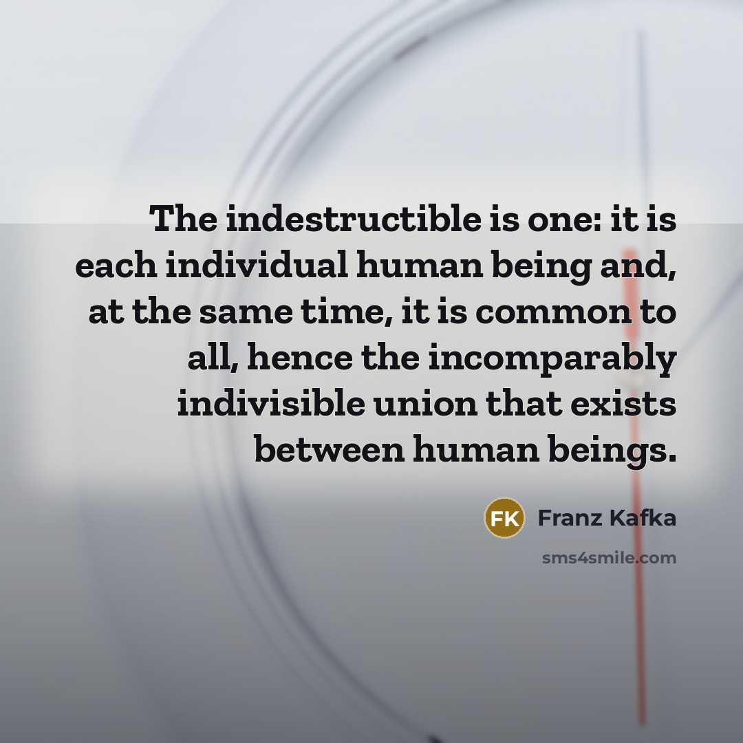 “The indestructible is one: it is each individual human being and, at the same time, it is common to all, hence the incomparably indivisible union that exists between human beings.” quote by Franz Kafka