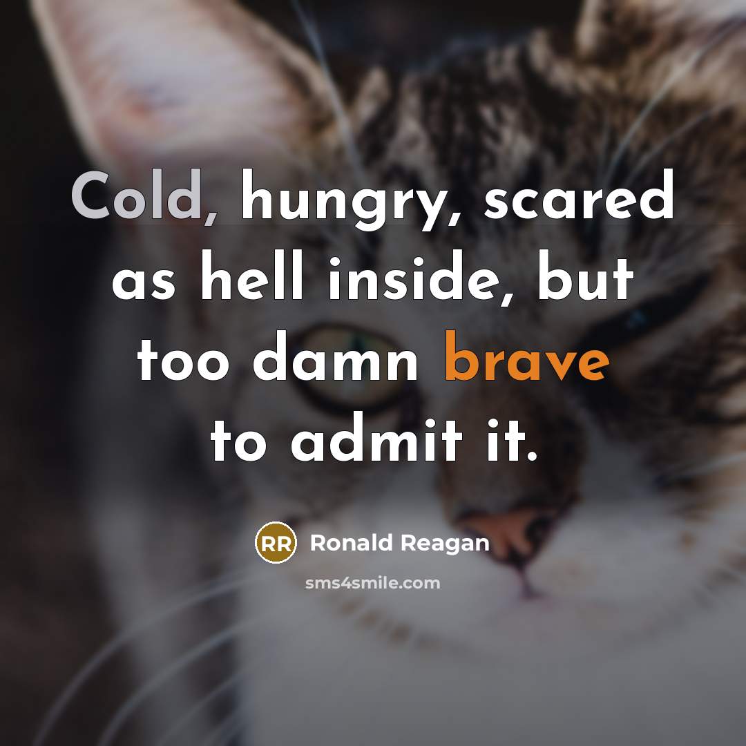 “Cold, hungry, scared as hell inside, but too damn brave to admit it.” quote by Ronald Reagan