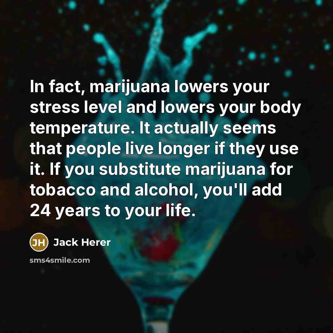 “In fact, marijuana lowers your stress level and lowers your body temperature. It actually seems that people live longer if they use it. If you substitute marijuana for tobacco and alcohol, you'll add 24 years to your life.” quote by Jack Herer