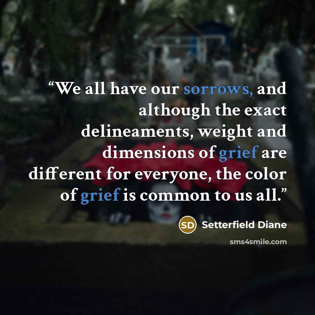 “We all have our sorrows, and although the exact delineaments, weight and dimensions of grief are different for everyone, the color of grief is common to us all.” quote by Setterfield Diane