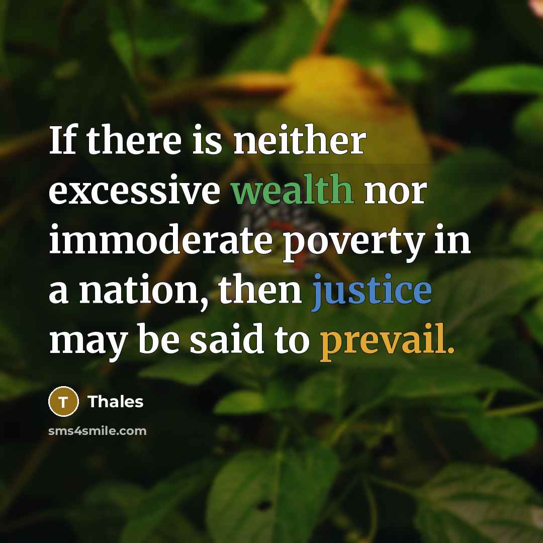 “If there is neither excessive wealth nor immoderate poverty in a nation, then justice may be said to prevail.” quote by Thales