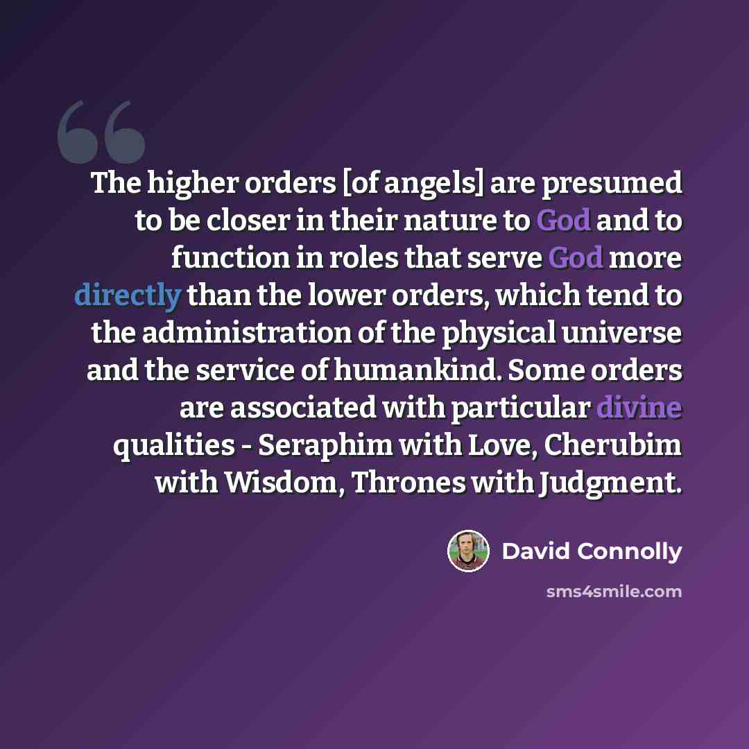 “The higher orders [of angels] are presumed to be closer in their nature to God and to function in roles that serve God more directly than the lower orders, which tend to the administration of the physical universe and the service of humankind. Some orders are associated with particular divine…” quote by David Connolly