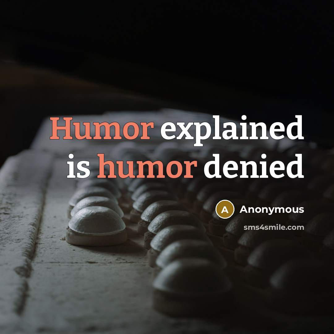 “Humor explained is humor denied” quote by Anonymous