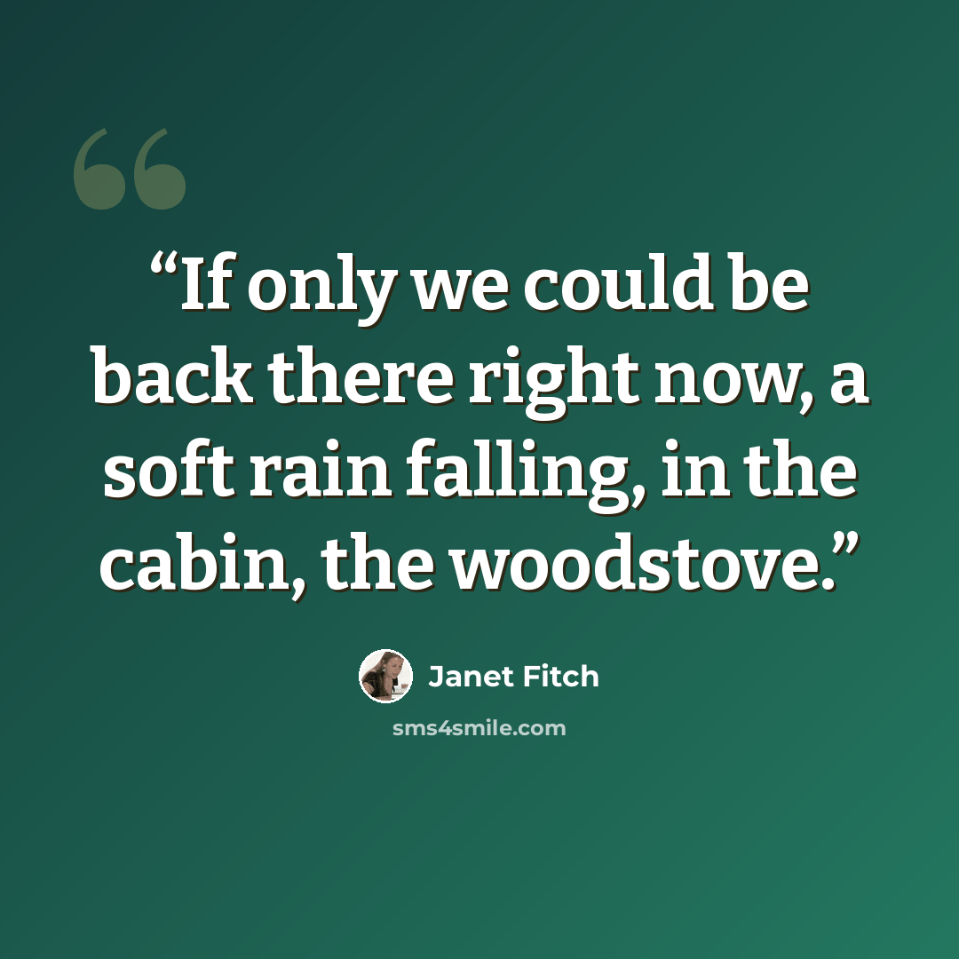 “If only we could be back there right now, a soft rain falling, in the cabin, the woodstove.” quote by Janet Fitch