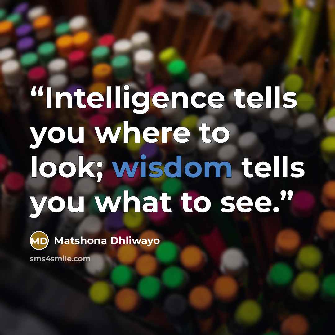 “Intelligence tells you where to look; wisdom tells you what to see.” quote by Matshona Dhliwayo