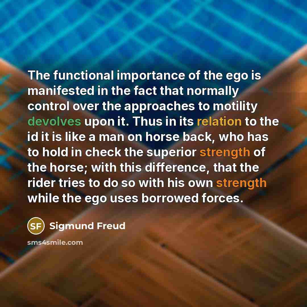 “The functional importance of the ego is manifested in the fact that normally control over the approaches to motility devolves upon it. Thus in its relation to the id it is like a man on horse back, who has to hold in check the superior strength of the horse; with this difference, that the rider…” quote by Sigmund Freud