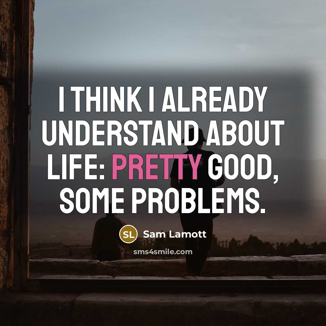 “I think I already understand about life: pretty good, some problems.” quote by Sam Lamott