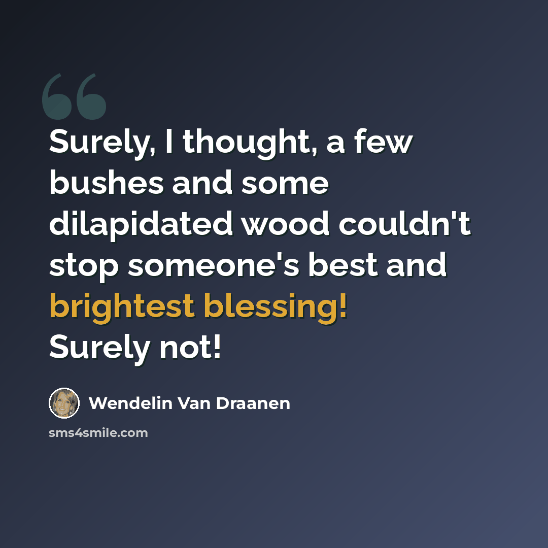 “Surely, I thought, a few bushes and some dilapidated wood couldn't stop someone's best and brightest blessing! Surely not!” quote by Wendelin Van Draanen