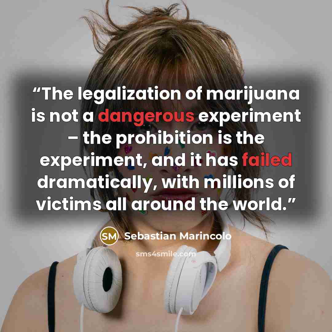 “The legalization of marijuana is not a dangerous experiment – the prohibition is the experiment, and it has failed dramatically, with millions of victims all around the world.” quote by Sebastian Marincolo