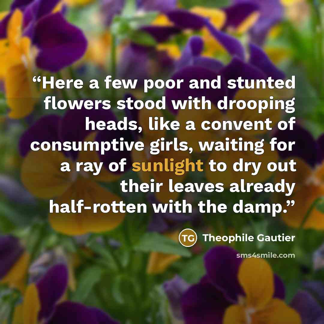 “Here a few poor and stunted flowers stood with drooping heads, like a convent of consumptive girls, waiting for a ray of sunlight to dry out their leaves already half-rotten with the damp.” quote by Théophile Gautier