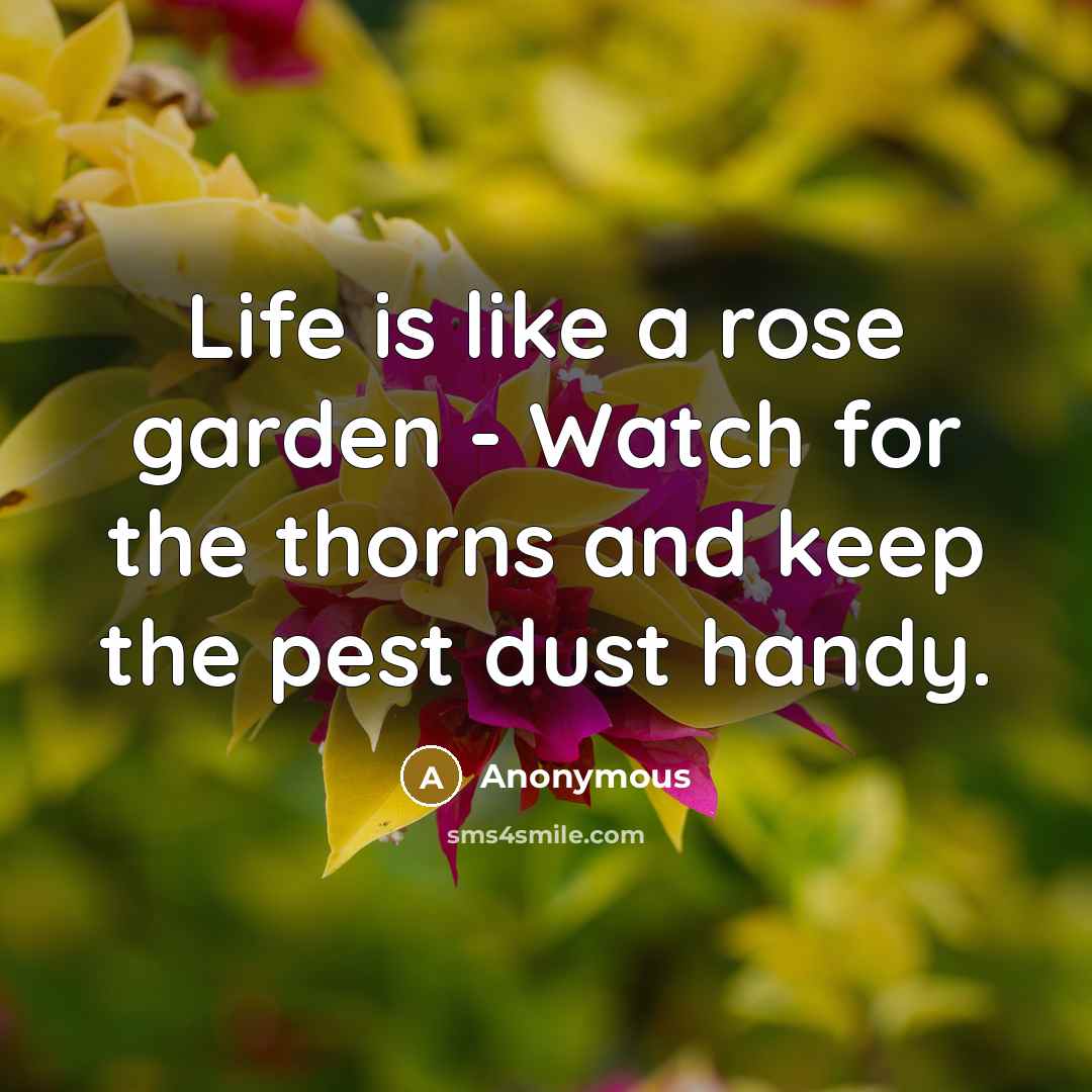 “Life is like a rose garden - Watch for the thorns and keep the pest dust handy.” quote by Anonymous