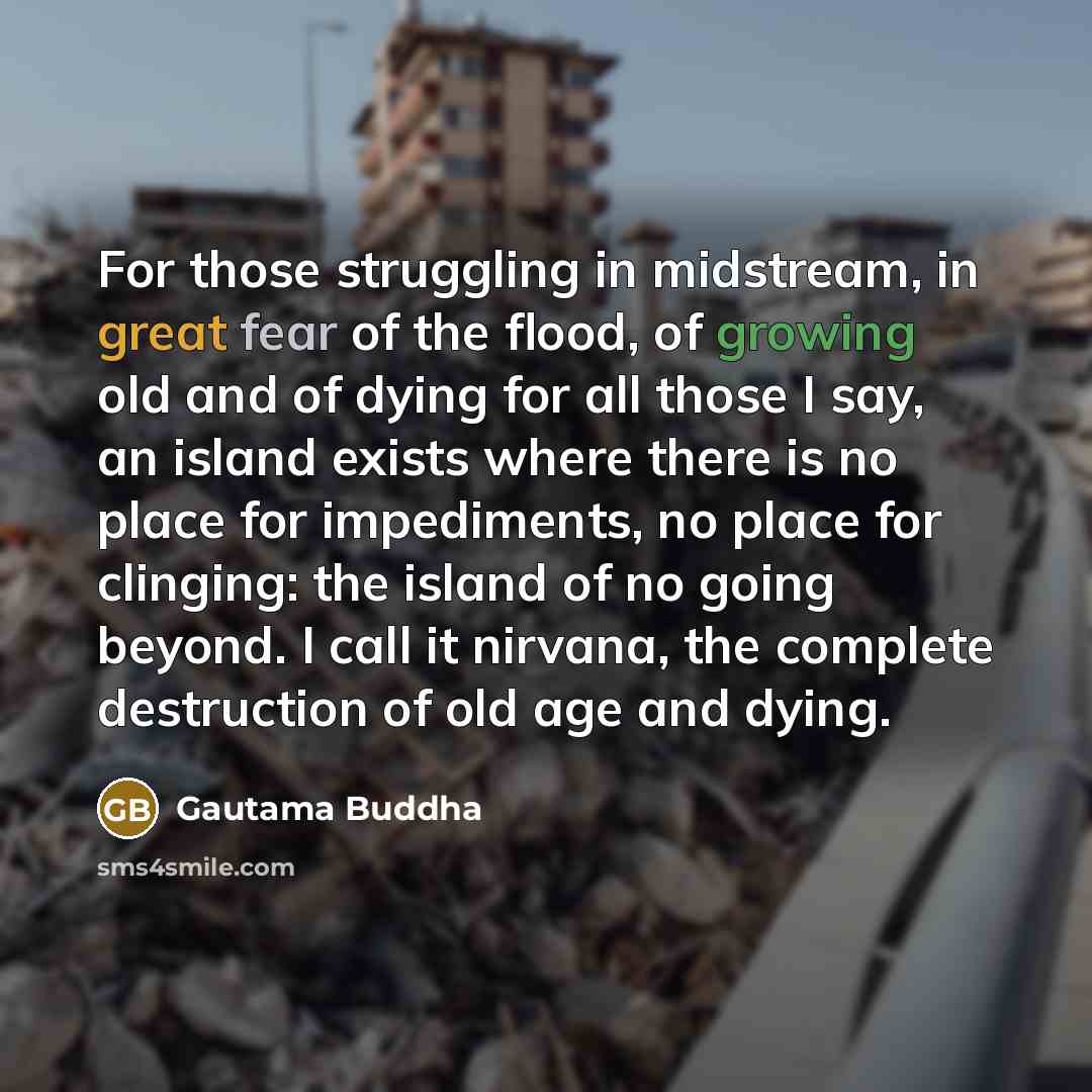 “For those struggling in midstream, in great fear of the flood, of growing old and of dying for all those I say, an island exists where there is no place for impediments, no place for clinging: the island of no going beyond. I call it nirvana, the complete destruction of old age and dying.” quote by Gautama Buddha