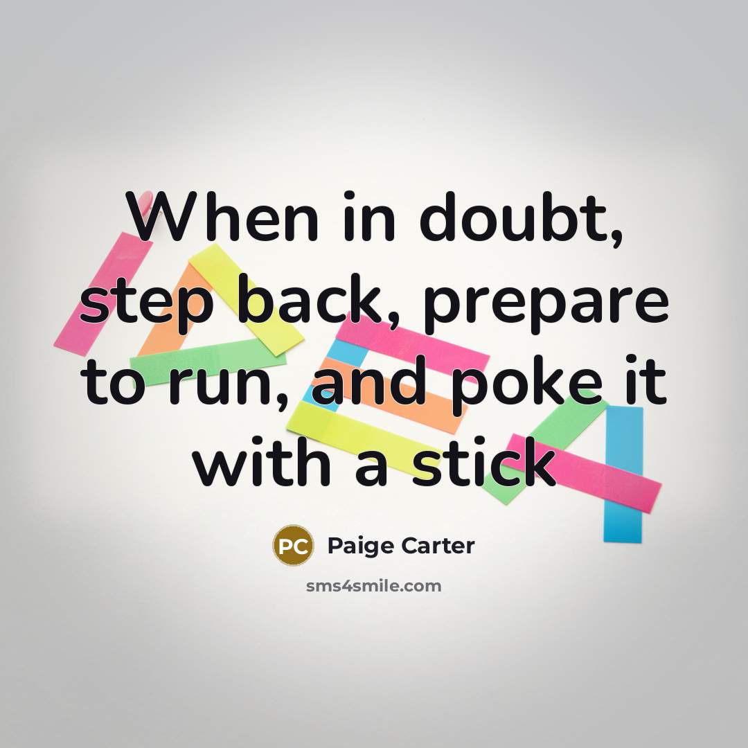 “When in doubt, step back, prepare to run, and poke it with a stick” quote by Paige Carter