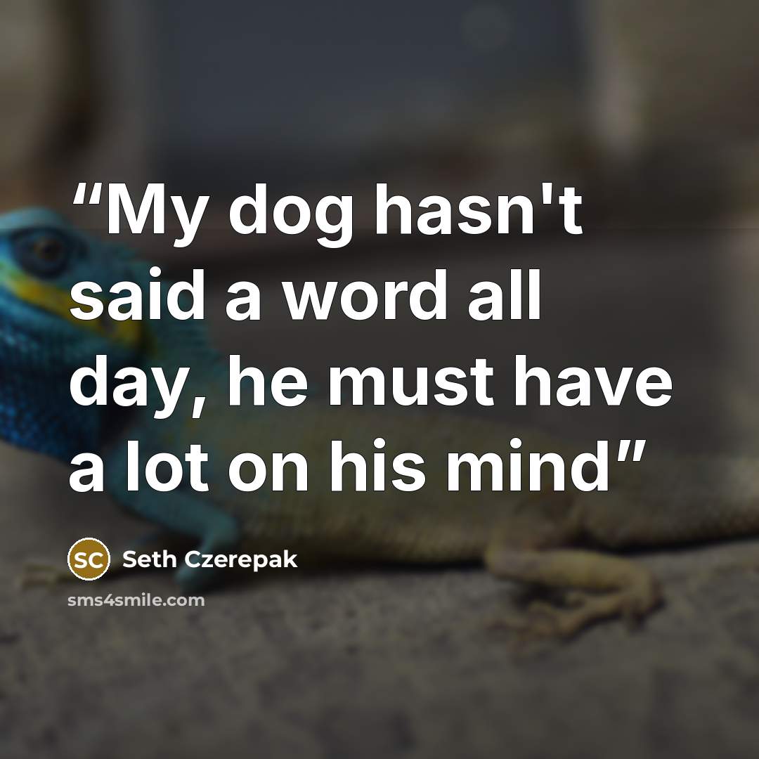 “My dog hasn't said a word all day, he must have a lot on his mind” quote by Seth Czerepak