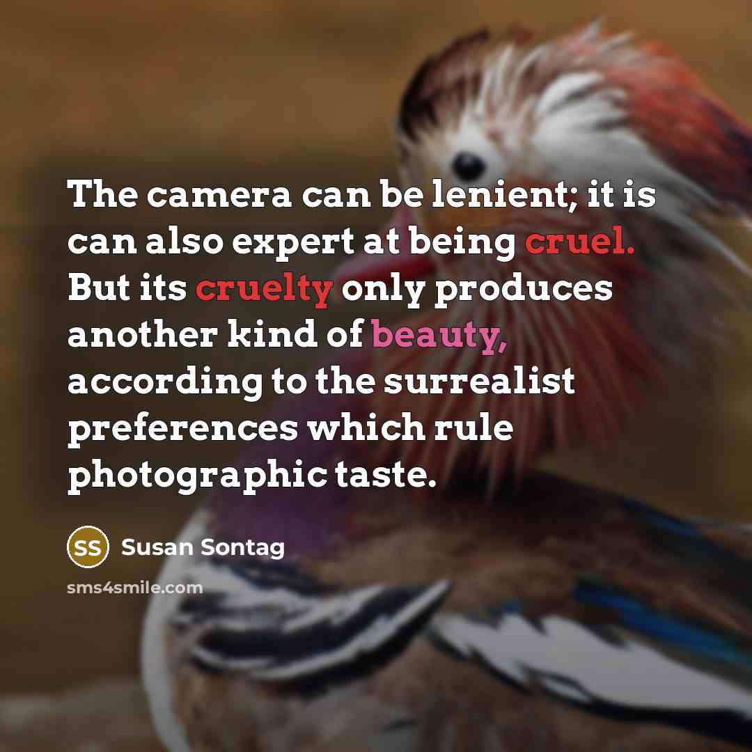 “The camera can be lenient; it is can also expert at being cruel. But its cruelty only produces another kind of beauty, according to the surrealist preferences which rule photographic taste.” quote by Susan Sontag