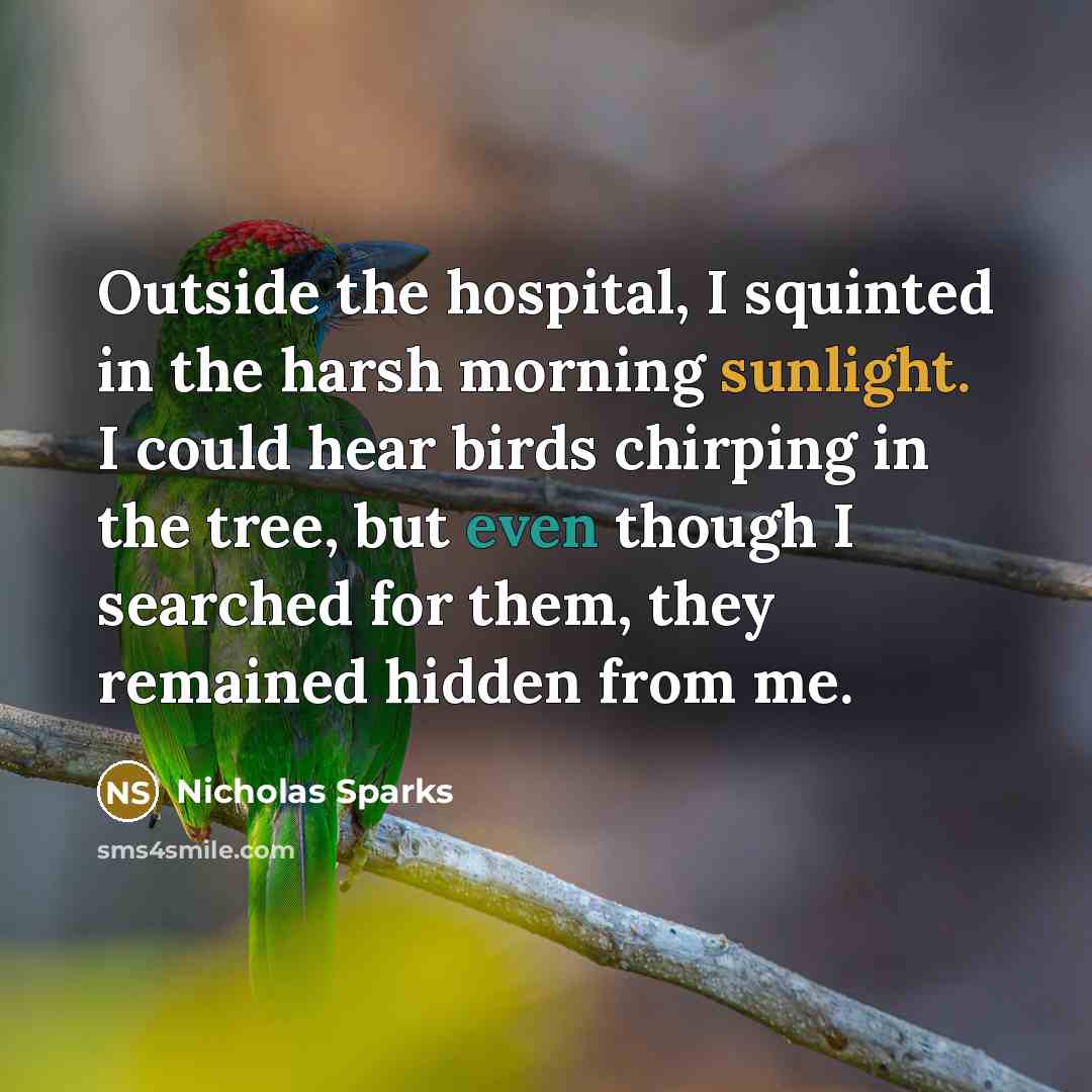 “Outside the hospital, I squinted in the harsh morning sunlight. I could hear birds chirping in the tree, but even though I searched for them, they remained hidden from me.” quote by Nicholas Sparks