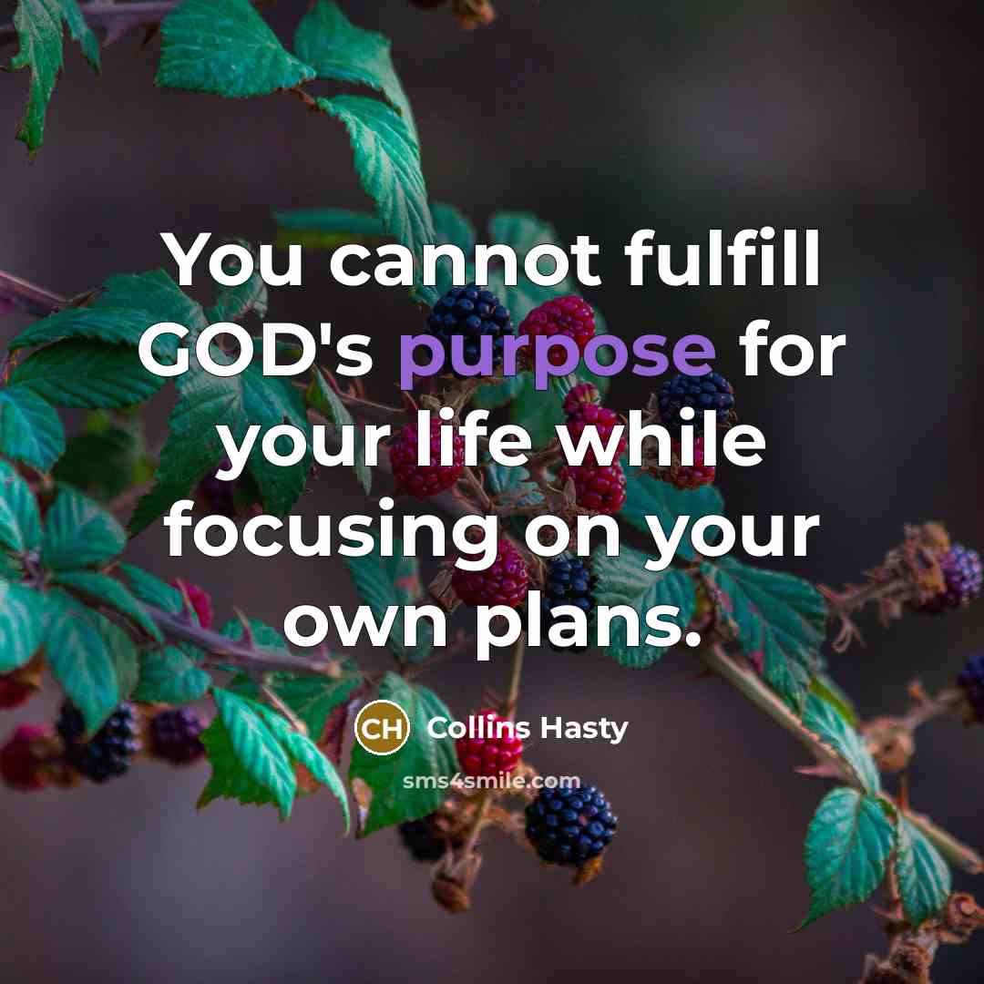 “You cannot fulfill GOD's purpose for your life while focusing on your own plans.” quote by Collins Hasty
