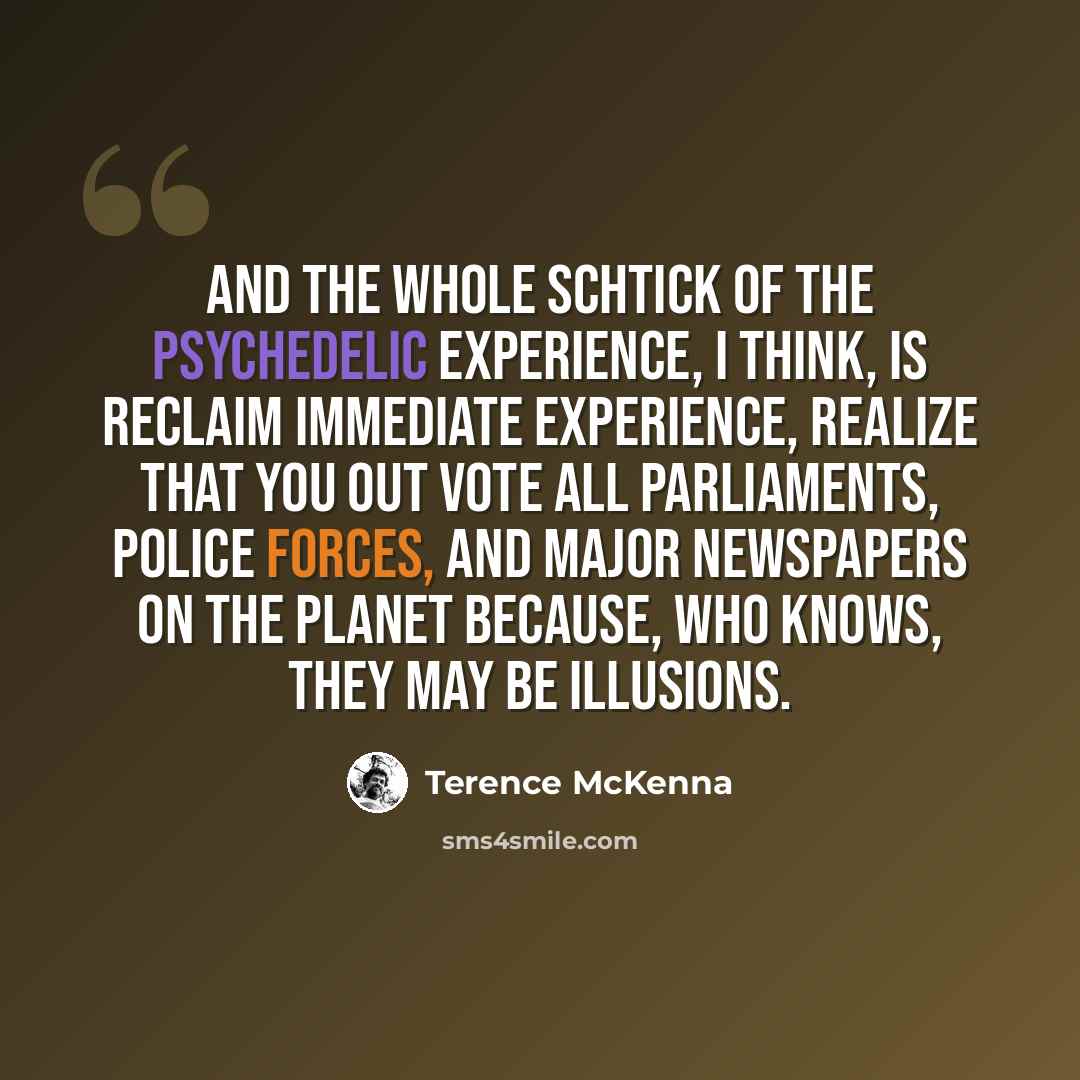 “And the whole schtick of the psychedelic experience, I think, is reclaim immediate experience, realize that you out vote all parliaments, police forces, and major newspapers on the planet because, who knows, they may be illusions.” quote by Terence McKenna