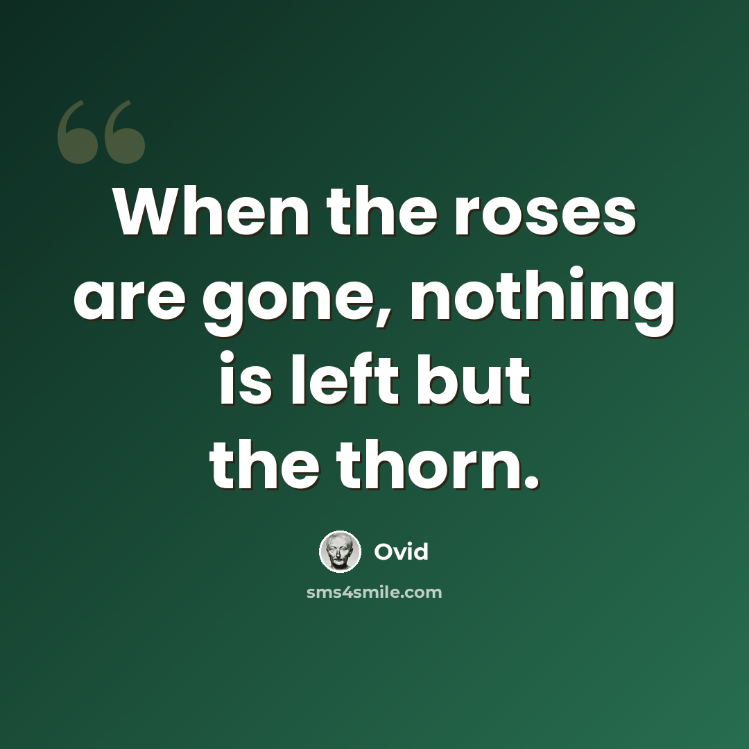 “When the roses are gone, nothing is left but the thorn.” quote by Ovid