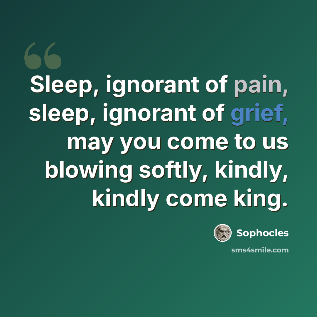 “Sleep, ignorant of pain, sleep, ignorant of grief, may you come to us blowing softly, kindly, kindly come king.” quote by Sophocles