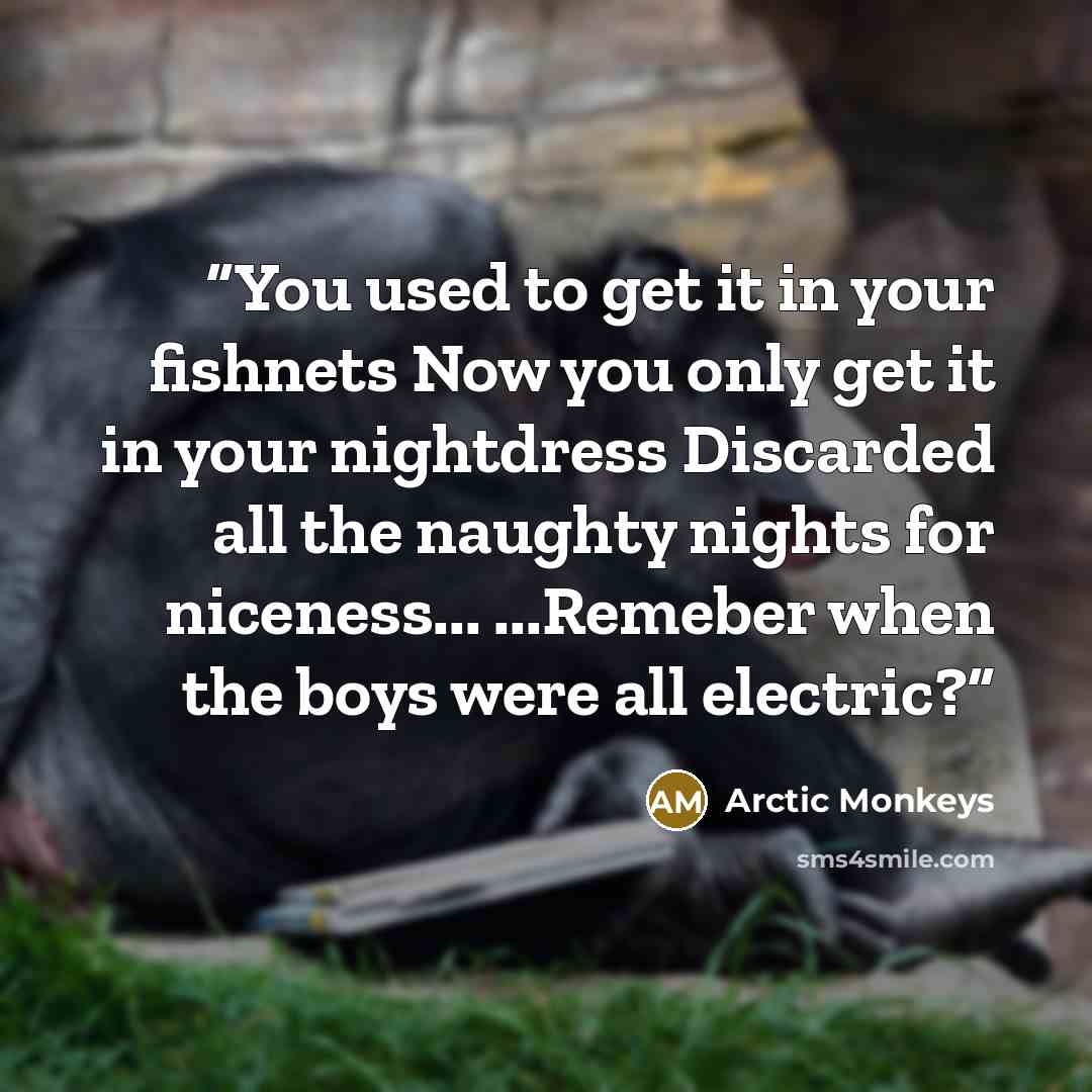 “You used to get it in your fishnets Now you only get it in your nightdress Discarded all the naughty nights for niceness... ...Remeber when the boys were all electric?” quote by Arctic Monkeys