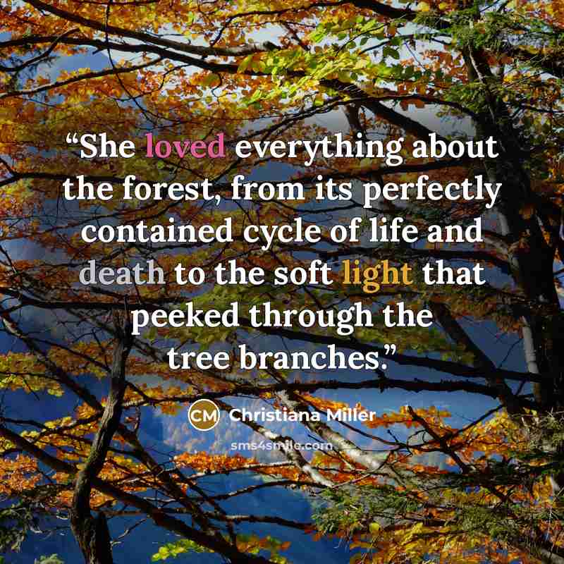 “She loved everything about the forest, from its perfectly contained cycle of life and death to the soft light that peeked through the tree branches.” quote by Christiana Miller