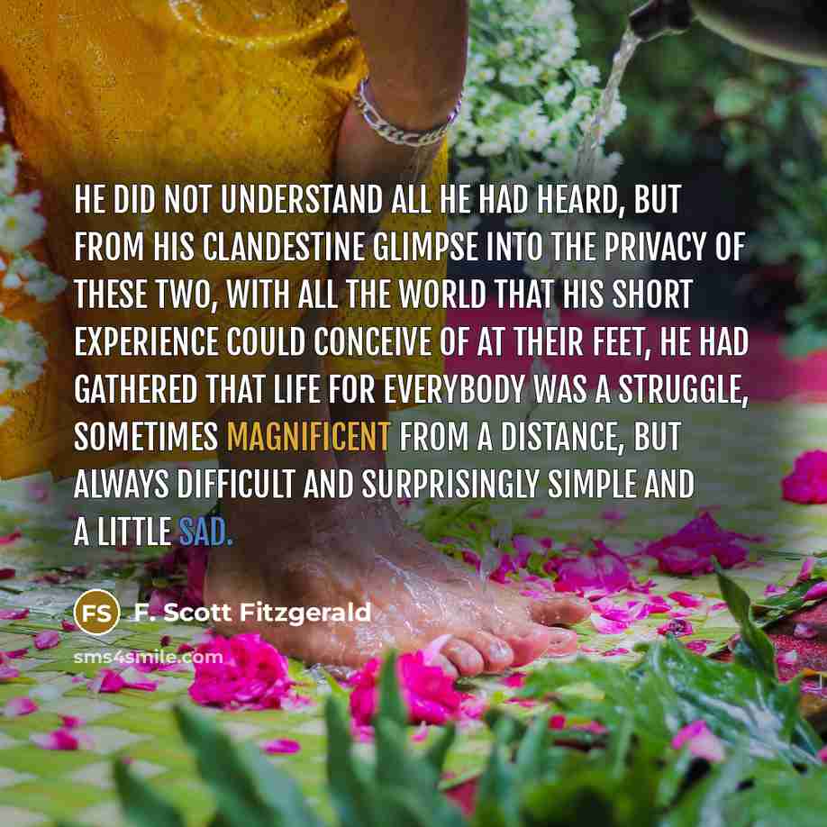 “He did not understand all he had heard, but from his clandestine glimpse into the privacy of these two, with all the world that his short experience could conceive of at their feet, he had gathered that life for everybody was a struggle, sometimes magnificent from a distance, but always difficult…” quote by F. Scott Fitzgerald