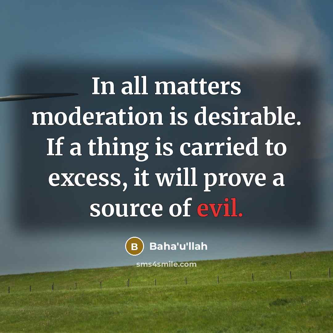 “In all matters moderation is desirable. If a thing is carried to excess, it will prove a source of evil.” quote by Bahá'u'lláh