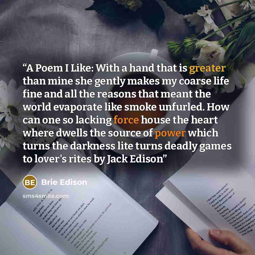 “A Poem I Like: With a hand that is greater than mine she gently makes my coarse life fine and all the reasons that meant the world evaporate like smoke unfurled. How can one so lacking force house the heart where dwells the source of power which turns the darkness lite turns deadly games to…” quote by Brie Edison
