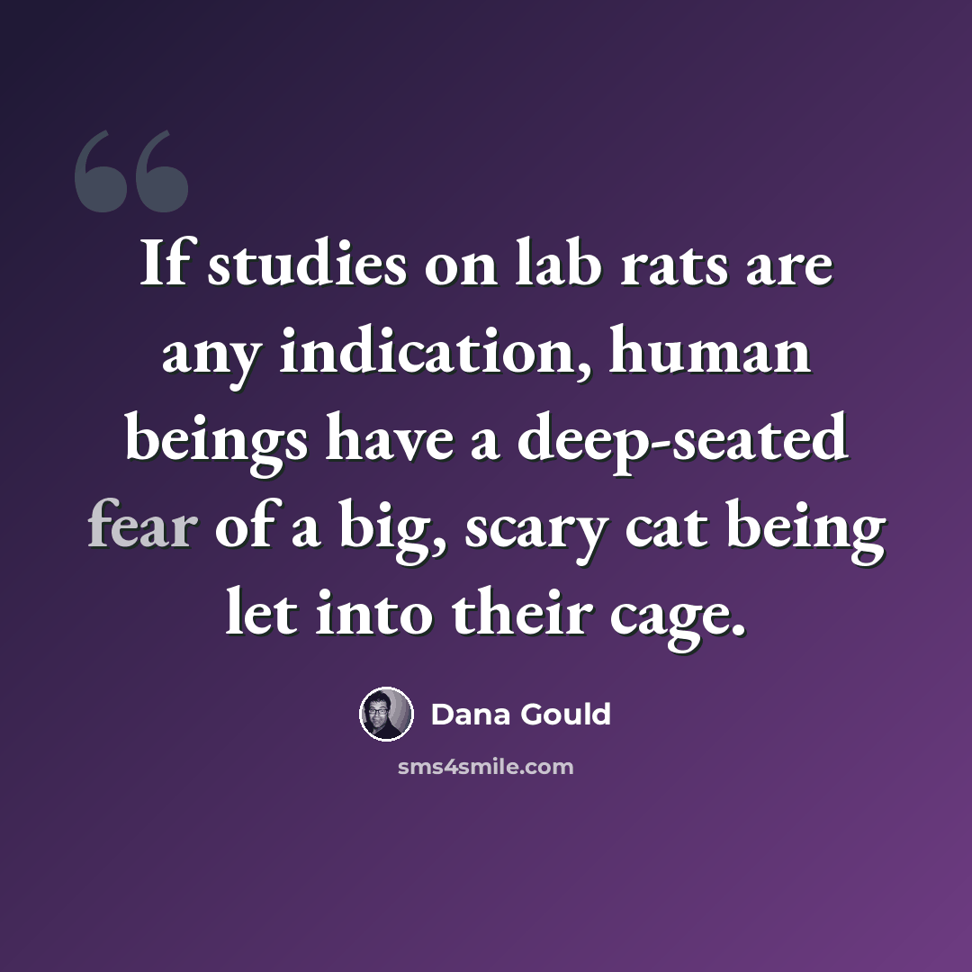 “If studies on lab rats are any indication, human beings have a deep-seated fear of a big, scary cat being let into their cage.” quote by Dana Gould