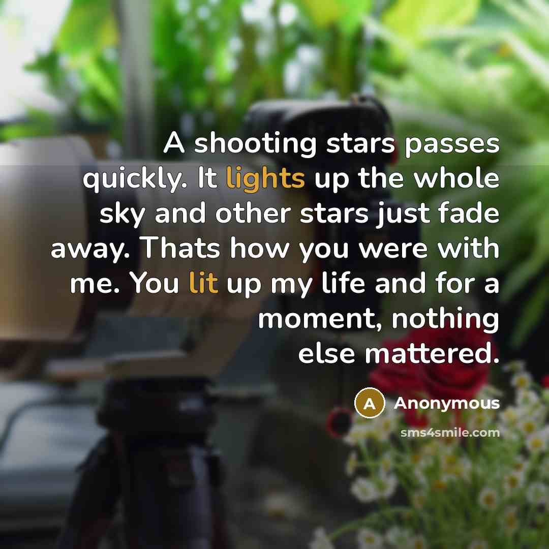 “A shooting stars passes quickly. It lights up the whole sky and other stars just fade away. Thats how you were with me. You lit up my life and for a moment, nothing else mattered.” quote by Anonymous