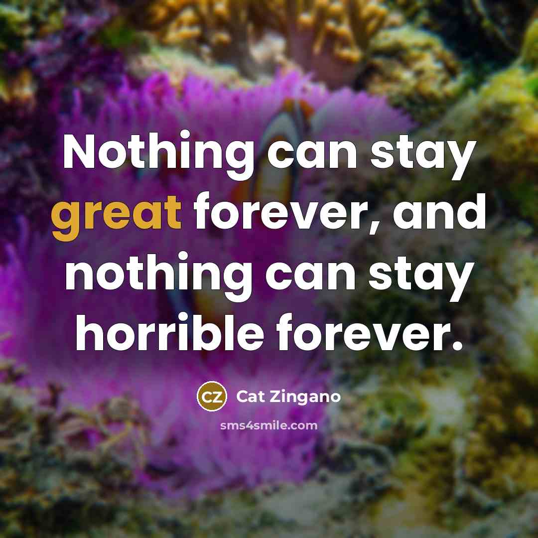 “Nothing can stay great forever, and nothing can stay horrible forever.” quote by Cat Zingano