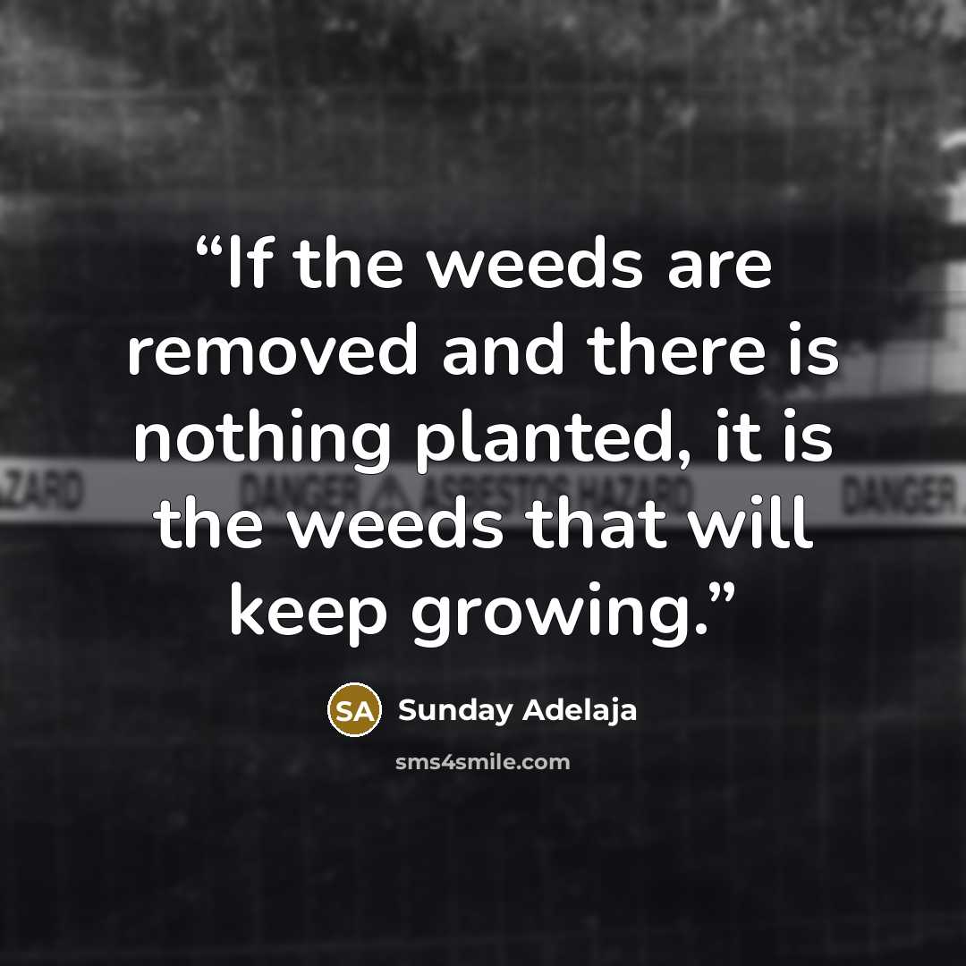 “If the weeds are removed and there is nothing planted, it is the weeds that will keep growing.” quote by Sunday Adelaja