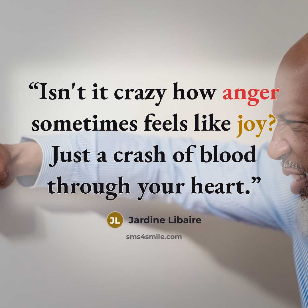 “Isn't it crazy how anger sometimes feels like joy? Just a crash of blood through your heart.” quote by Jardine Libaire